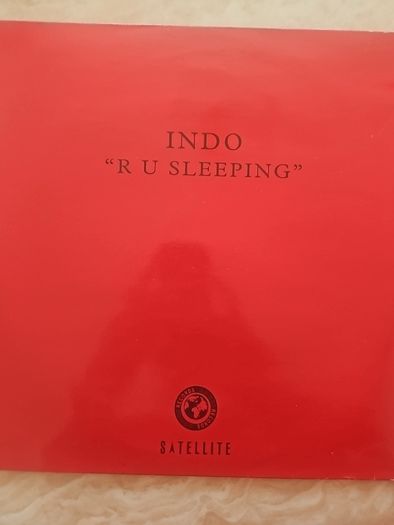 Indo 12" - "Are You Sleeping"