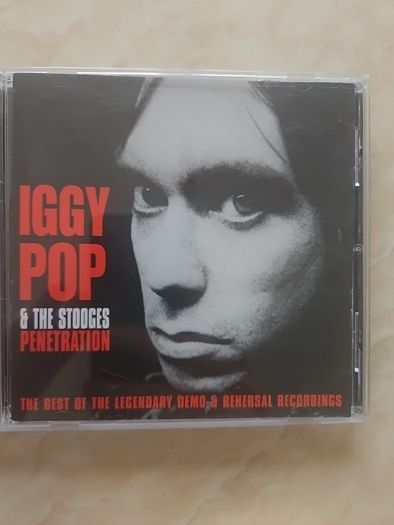 Iggy Pop 2 CD Lot