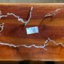 Corkscrew Hazel branches lot decor Image 3