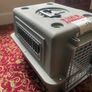 Kennel Dog and Cat Image 2