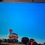 Sony Bravia KD 49XD8077 Image 8