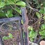 Wrought iron gates Image 3
