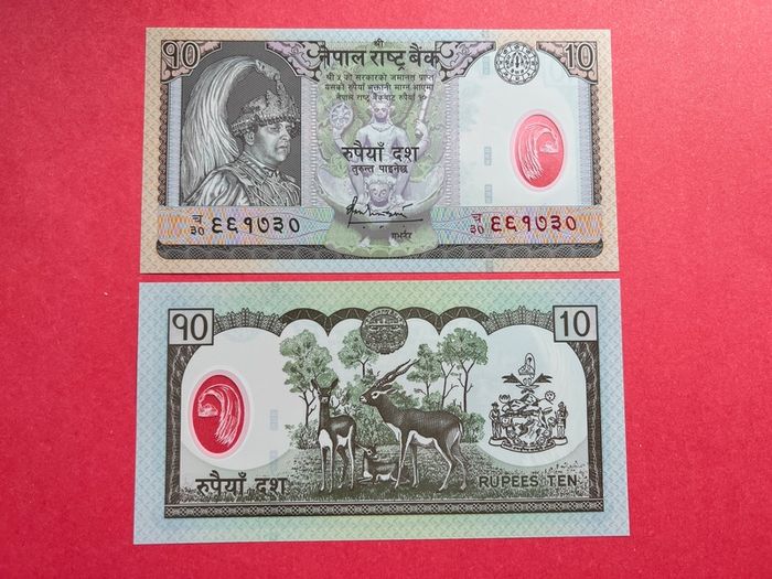 Nepal 10 Rupees. 2005  Pick 54a  Polymer / Plastic  ( Uncirculated )