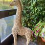 5' Giraffe Image 5