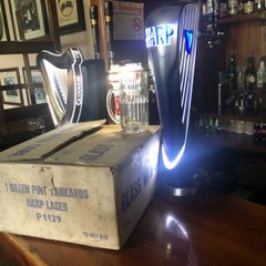 vintage harp pints