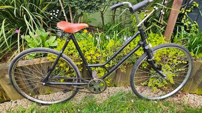 Classic ladies bike