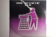 Signum - What Ya Got 4 Me! - Tidy Trax - Huge Trance Belter!! Quality Late 90s Oldschool Classic!