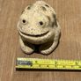 Rustic Ceramic Frog / Toad Image 9