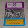Official Hurling League Final Gaa Programme 1979 Image 2