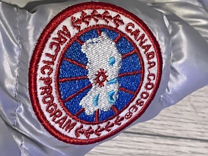 canada goose