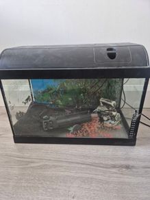 fish tank