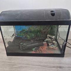 fish tank