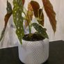 Plant Pot Cover Image 4