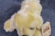 10 Inch Puppy New Soft Toy Teddy Bear Plush