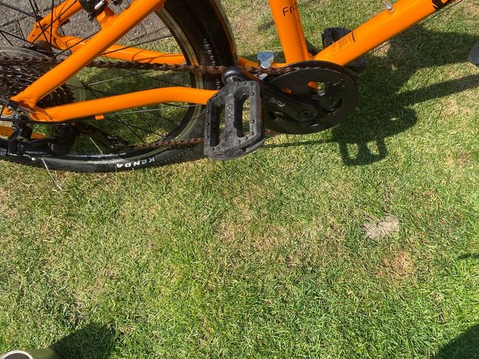 Frog Bike