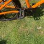 Frog Bike Image 6