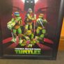 Turtles picture Image 3
