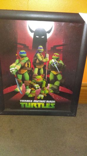 Turtles picture