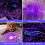 21 LED 395nm UV Torch, Black Light Detector for Pets Urine, Stain, Bed Bugs on Carpet or Floor, Fake Banknote and More, Valentines Day Gift, 3 AAA Batteries Included (FREE SHIPPING) Image 2