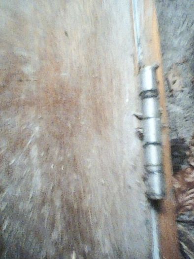 Fire Door