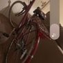 Pendleton ladies bike Image 3