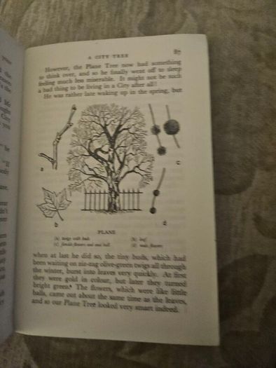 Trees by Margaret Kent, published in 1948 as part of The Children's Nature Series. [1]  Title: Trees  Author: Margaret Kent  Publisher: George G. Harrap  Date: 1948  First edition paperback in good condition.  See photos for same.