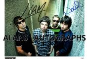 Oasis Autograph's