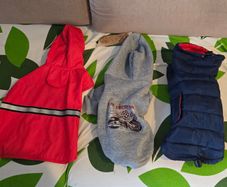 Dog clothes