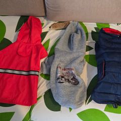 Dog clothes