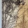 Canvas print of snowy street Image 4