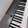 Casio CDP-100 Digital Piano Image 2