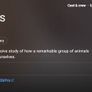 David Attenborough: The Life Of Mammals - The Complete Series DVD (2003) Image 5