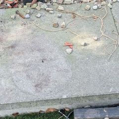 Paving slabs