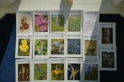 SALE! BSBI NEWS -Botanical Society of the British Isles Nos 101 - 117 (Missing 114) Includes Index for Nos 101 - 110  Gwynn Ellis