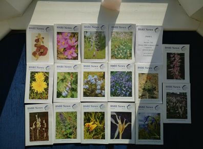 SALE! BSBI NEWS -Botanical Society of the British Isles Nos 101 - 117 (Missing 114) Includes Index for Nos 101 - 110  Gwynn Ellis