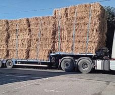 Spring chopped straw 8/4/3