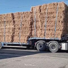 Spring chopped straw 8/4/3