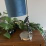 lamps Image 2