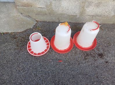 chicken feeders