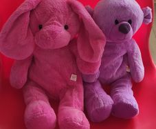 Design a bear two soft toys and one pair of shoes
