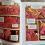 Comic book for adults (Polish edition) Image 5