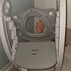 Kids toilet seat ladder