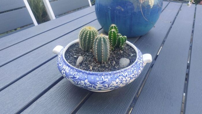 Fabulous Vintage Arklow Pottery Blue and White Tureen with Cacti Garden - A Fabulous Unique and Decorative Item for Display Indoors