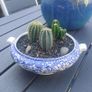 Fabulous Vintage Arklow Pottery Blue and White Tureen with Cacti Garden - A Fabulous Unique and Decorative Item for Display Indoors Image 3