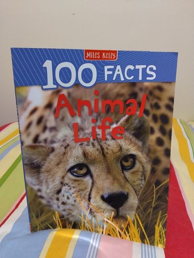 100 Facts Books By Miles Kelly