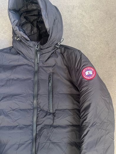 canada goose