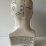 phrenology bust Image 3