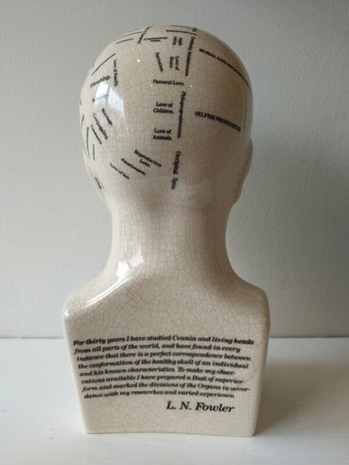 phrenology bust