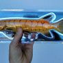 SAVAGE GEAR 3D Line Thru Pike 30cm 210g Albino Pike Image 2