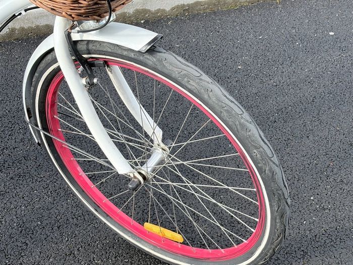 Popal dutch female city Bike